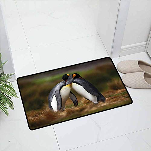 Animal，Door mat，Penguins Cuddling in Wild Nature Love Valentines Affection Romance Falkland Islands，Decorative，Multicolor，23"×47"